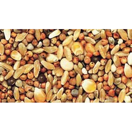 SHAMBI MIXTURA PERDICES 20KG imagen 2