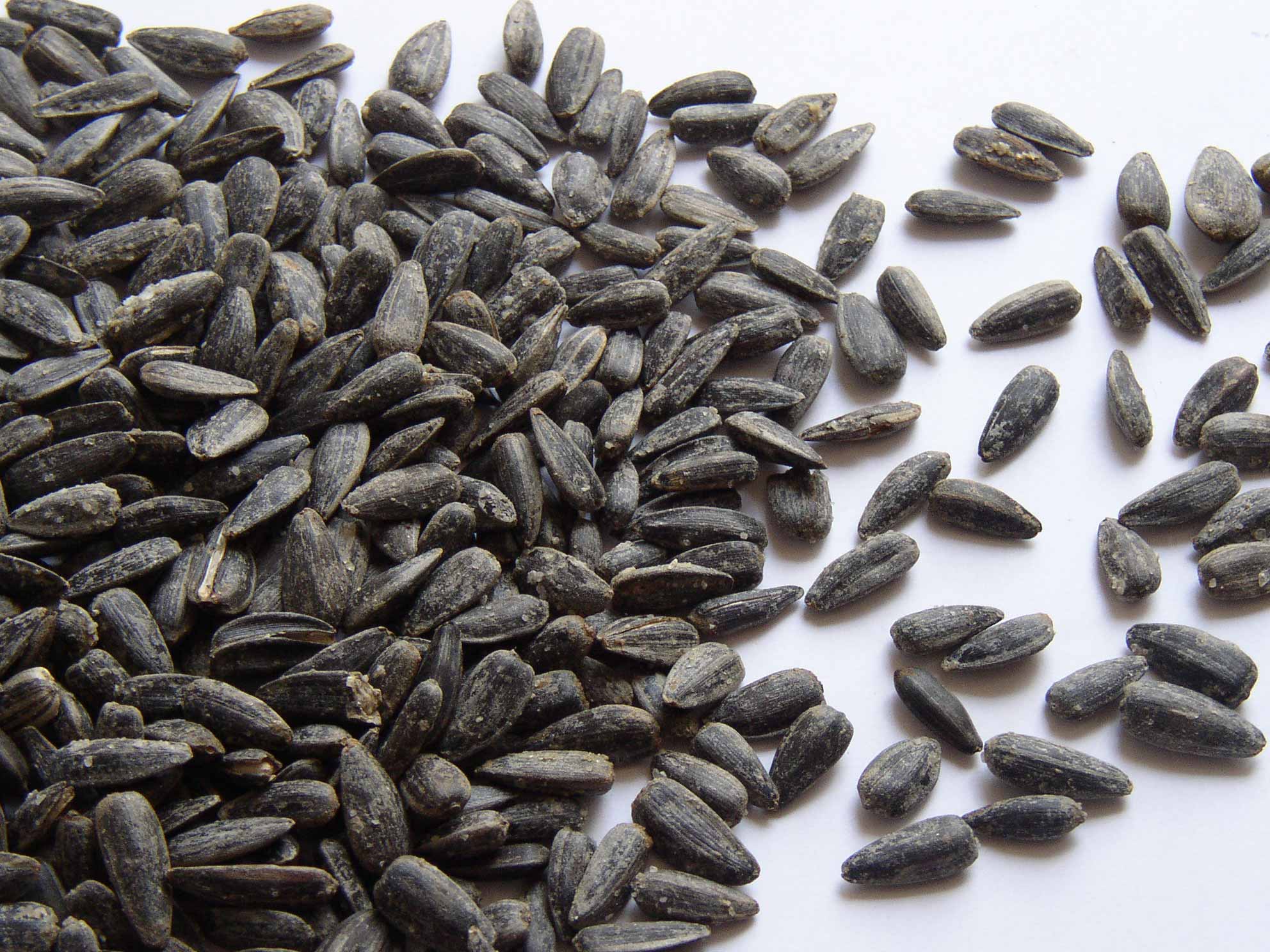 PIPA NEGRA 3KG imagen 1