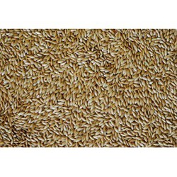 ALPISTE 1KG imagen 1