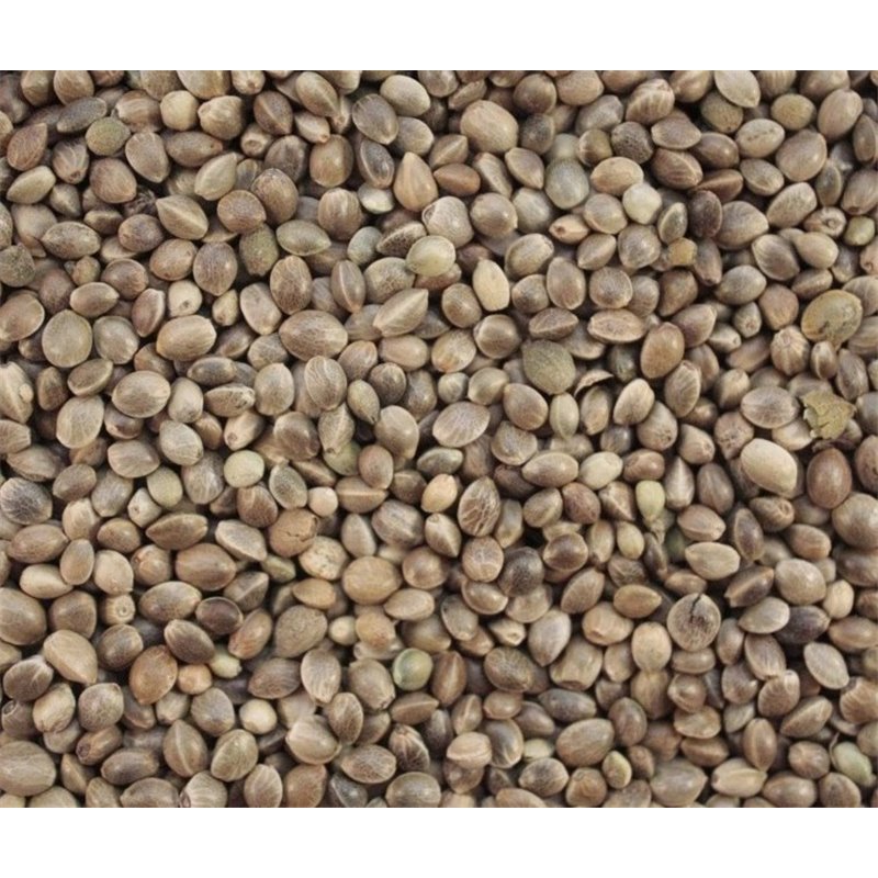 Cañamon 800gr imagen 1