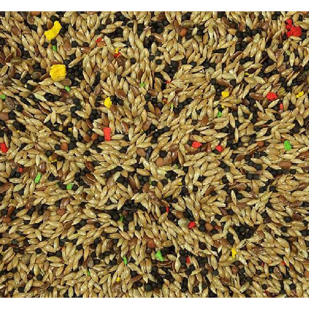 MIXTURA CANARIOS SIN AVENA 5KG imagen 1