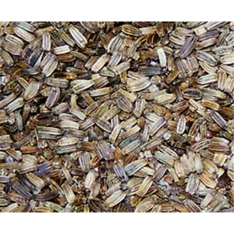 Cardo Mariano 250gr imagen 1