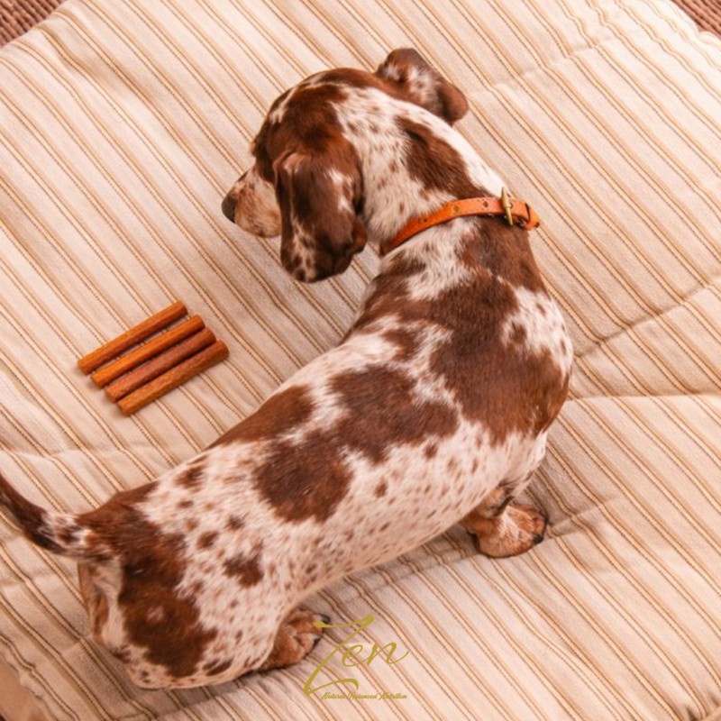 COLÁGENO 4 PALITO MAST FINO (70) imagen 4