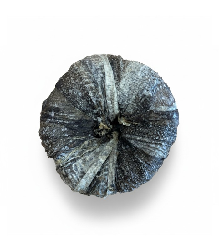 FRESH NATURAL DONUT PESCADO 1.15KG imagen 3