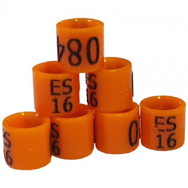 Anillas de el Año imagen 2