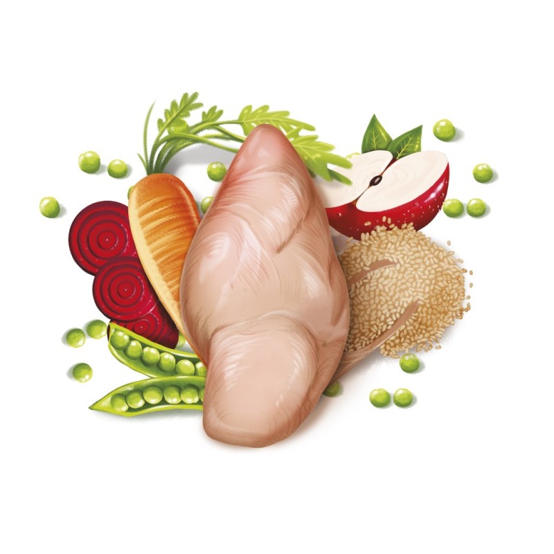 FRESH LIGHT SENIOR 2.5KG imagen 2