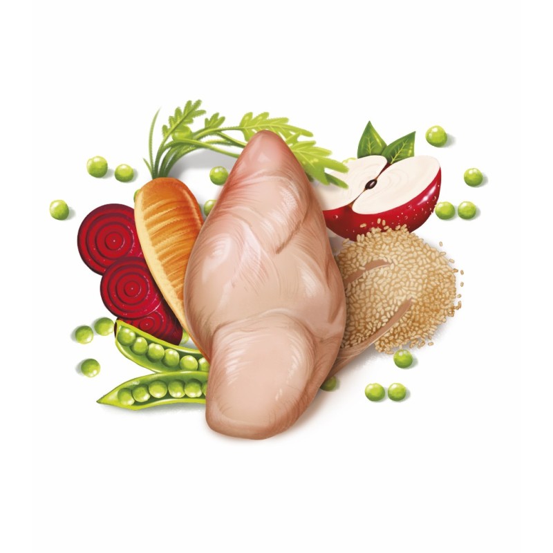 FRESH POLLO 2.5KG imagen 2