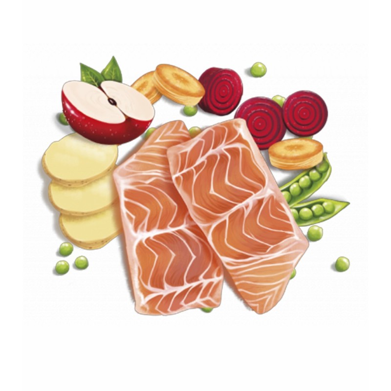 FRESH SALMÓN 2.5KG imagen 2