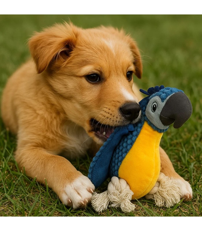 GUACAMAYO AZUL imagen 5