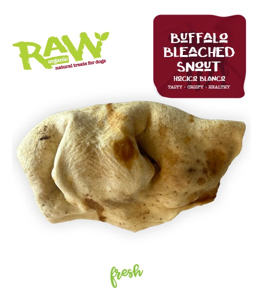 FRESH RAW HOCICO BLANCO 12UDS imagen 2