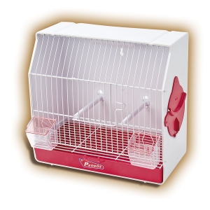 Jaula Curiosa Exposición imagen 1