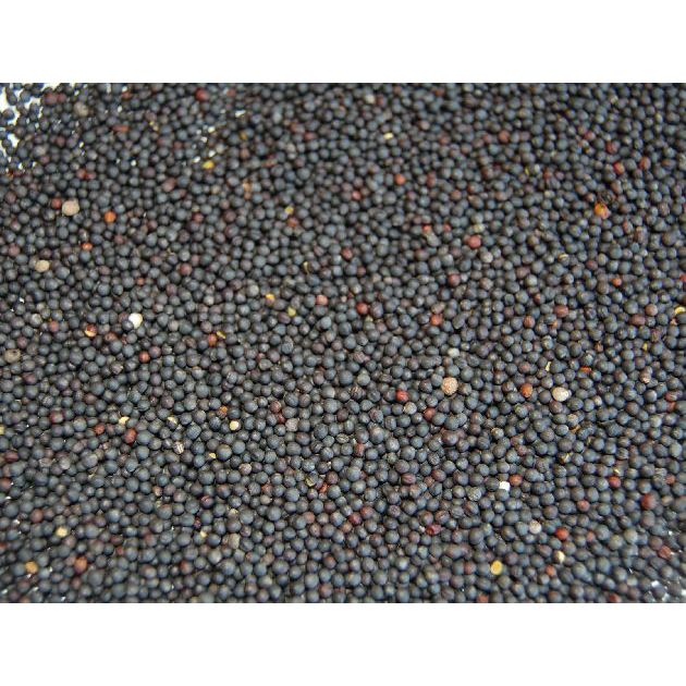 NABINA 800GR imagen 1