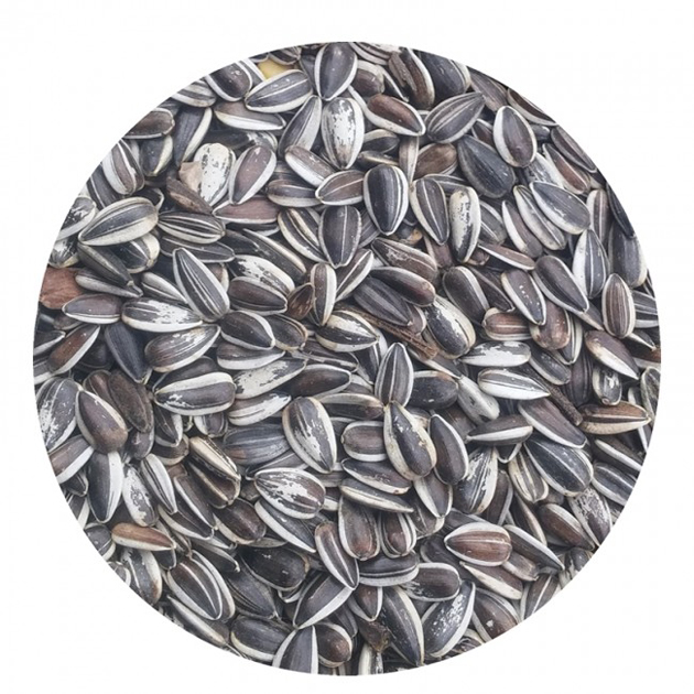 PIPA IREGUI 500GR imagen 1