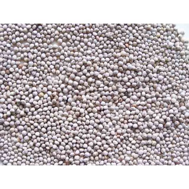 PERILLA BLANCA 500GR imagen 1