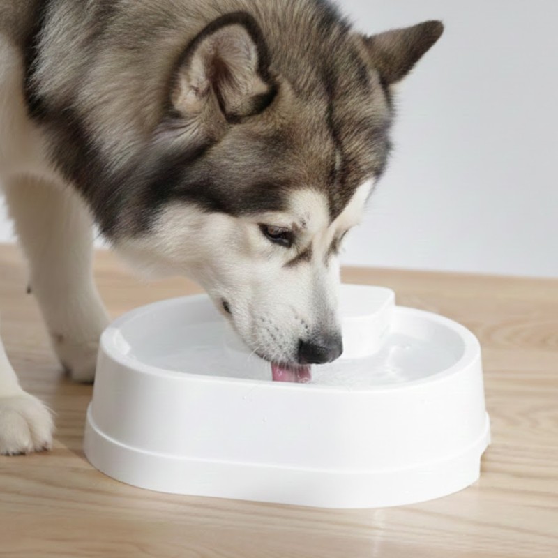 FUENTE PURE 100S imagen 2