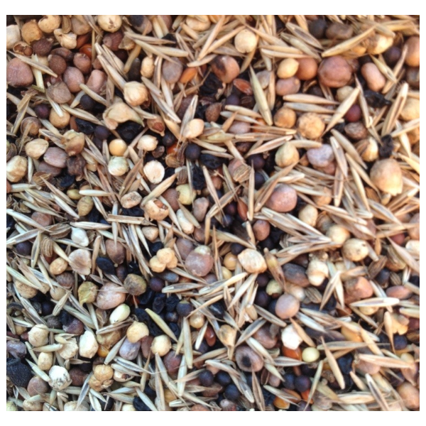 SEMILLA SALUD 800GR imagen 1