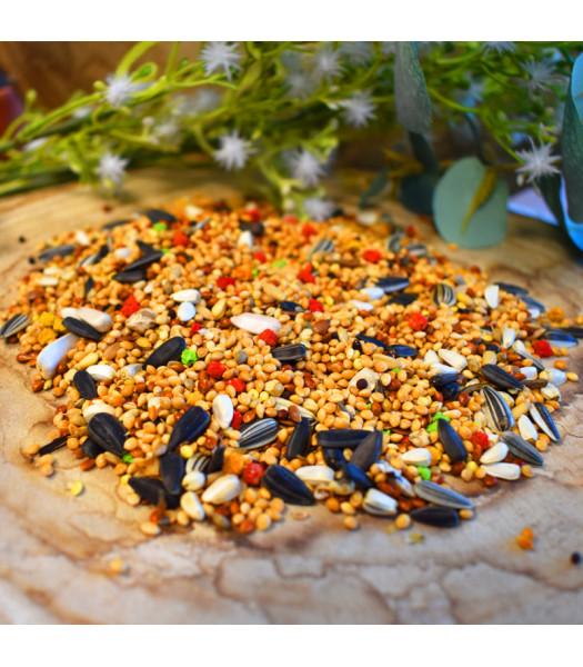 SHAMBI AGAPORNIS/NINFAS 3.5KG imagen 2