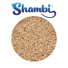 ALPISTE SHAMBI 20KG imagen 1