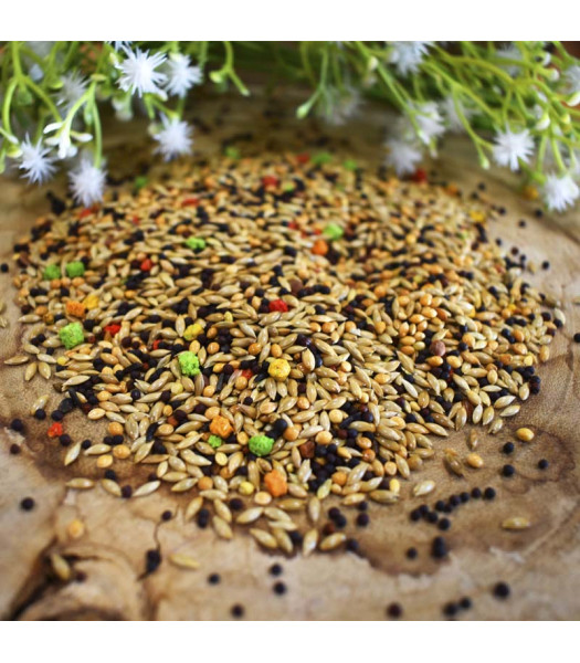 SHAMBI ECO 22KG imagen 2