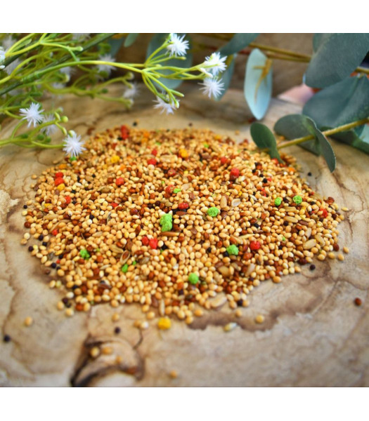 SHAMBI PERIQUITOS 1KG imagen 2