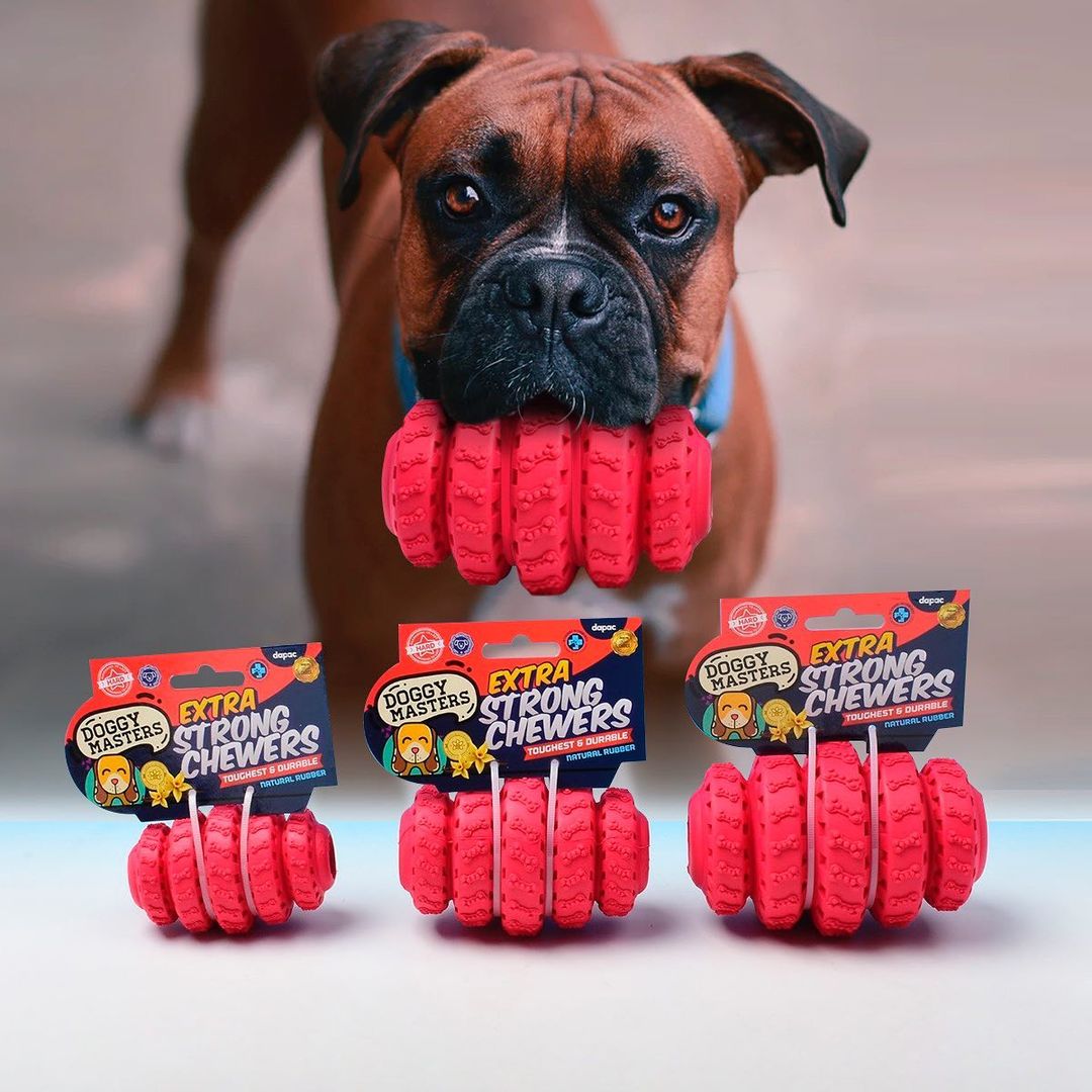 DOGGY MASTER DISPENSADOR L imagen 4